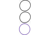 O-Ring Set, cylinder sleeve 15-11318-01 Viktor Reinz