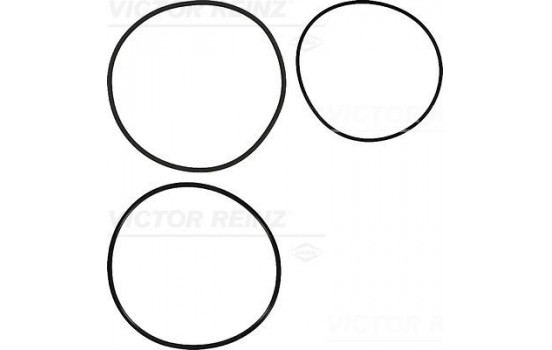 O-Ring Set, cylinder sleeve 15-41981-01 Viktor Reinz