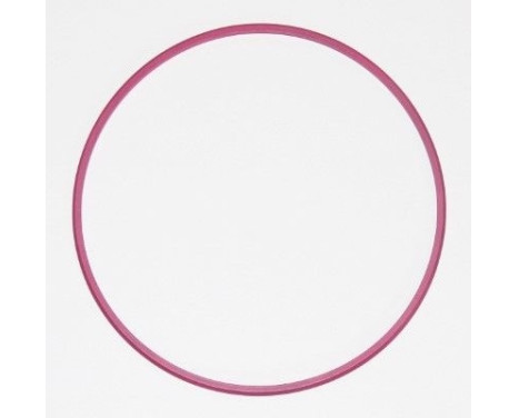 Sealing ring 003.881 Elring