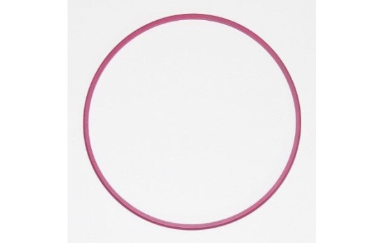 Sealing ring 003.881 Elring