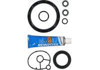 Gasket Set, crank case 08-36556-01 Viktor Reinz