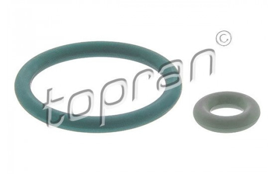 Fuel pressure regulator gasket