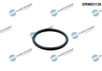 Gasket, coolant pipeline