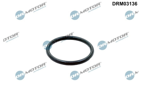 Gasket, coolant pipeline