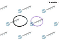 Gasket, coolant pipeline
