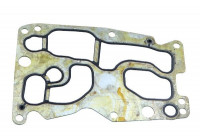 Gasket, oil cooler