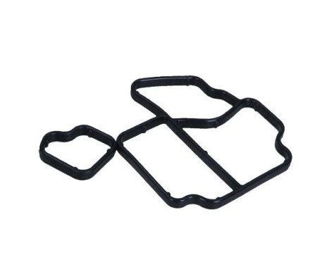 Gasket, oil cooler