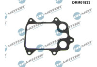 Gasket, oil cooler