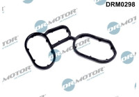 Gasket, oil cooler