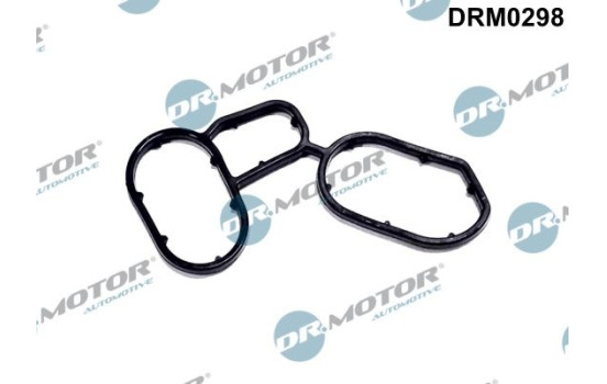 Gasket, oil cooler