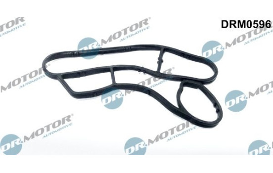 Gasket, oil cooler