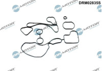 Gasket, oil cooler