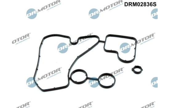 Gasket, oil cooler