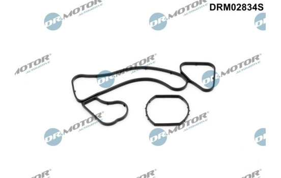 Gasket, oil cooler