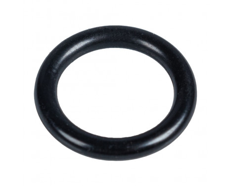 Seal, fuel line 43540 FEBI