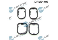 Seal kit, oil cooler