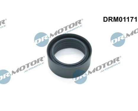 Sealing ring, charge air hose