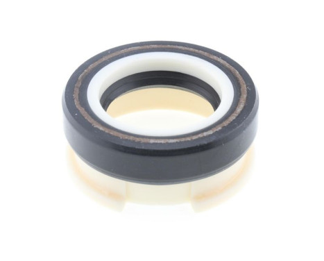 Sealing ring