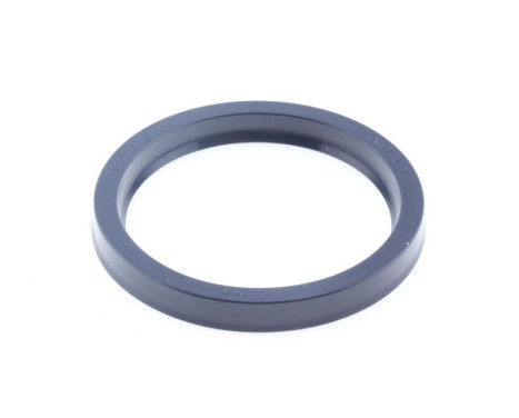 Sealing ring