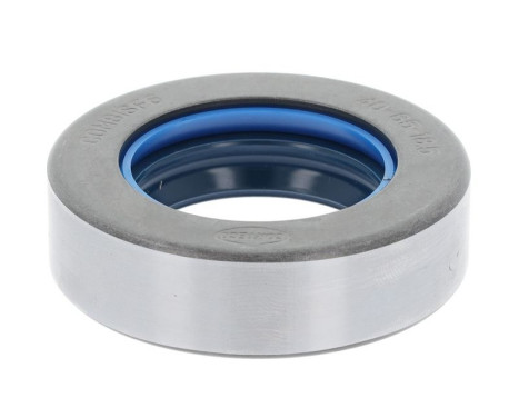 Sealing ring