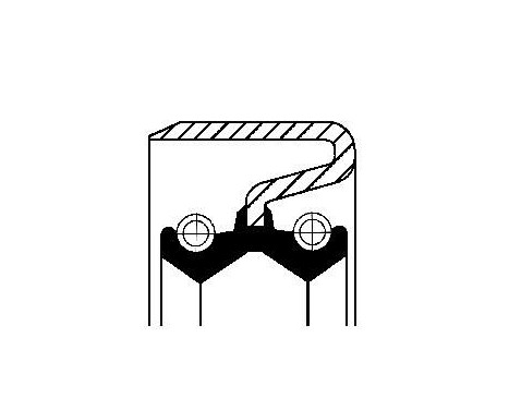 Sealing ring