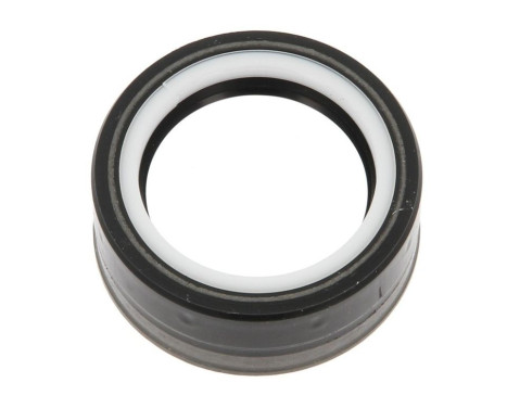 Sealing ring