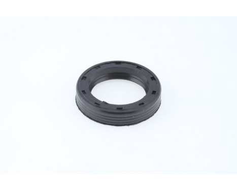 Sealing ring
