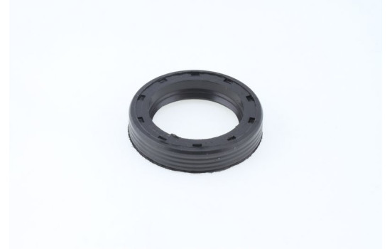 Sealing ring