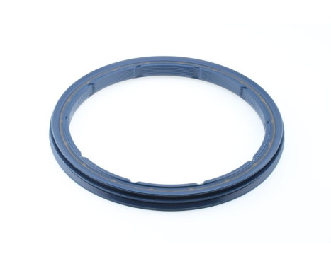 Sealing ring
