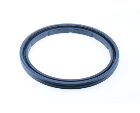 Sealing ring, Image 2