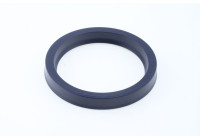 Sealing ring