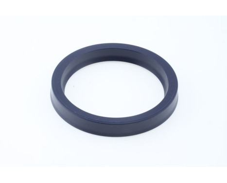 Sealing ring
