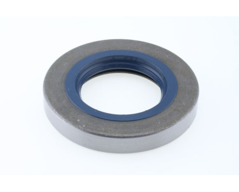 Sealing ring