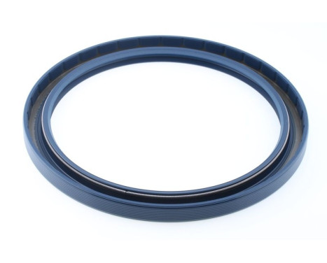 Sealing ring, Image 2