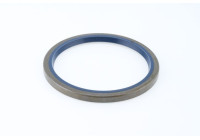 Sealing ring