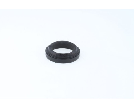 Sealing ring