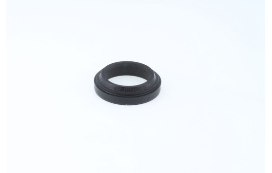 Sealing ring