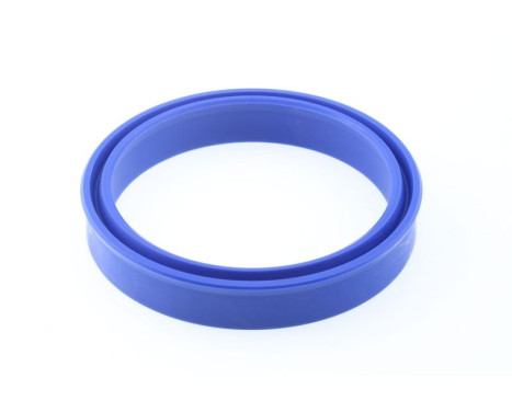 Sealing ring, Image 3