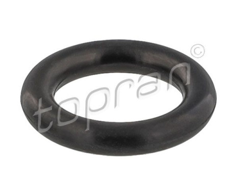 Sealing ring