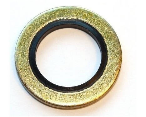 Sealing ring