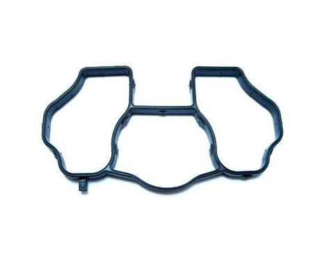 Gasket, intake manifold 394.080 Elring