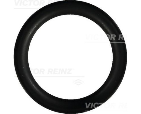 Gasket, intake manifold 40-76246-00 Viktor Reinz