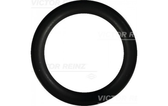 Gasket, intake manifold 40-76246-00 Viktor Reinz