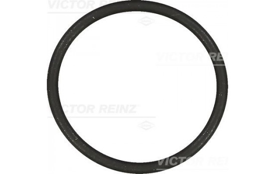 Gasket, intake manifold 40-76854-00 Viktor Reinz