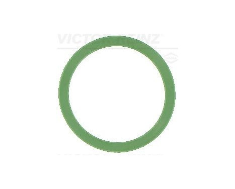 Gasket, intake manifold 41-10500-00 Viktor Reinz