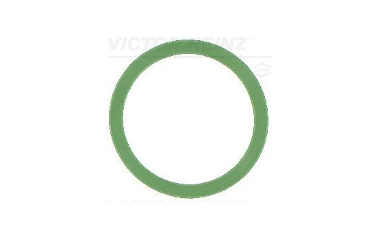 Gasket, intake manifold 41-10500-00 Viktor Reinz