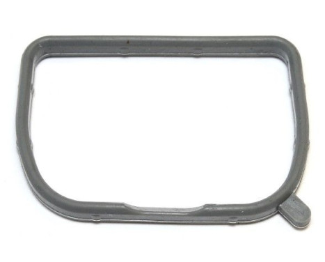 Gasket, intake manifold 586.130 Elring
