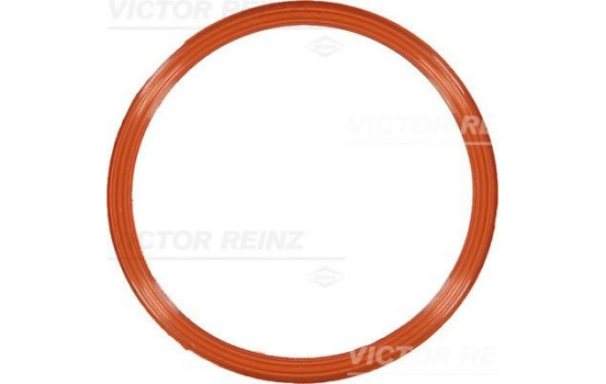 Gasket, intake manifold 71-10829-00 Viktor Reinz
