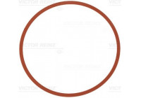 Gasket, intake manifold 71-11403-00 Viktor Reinz