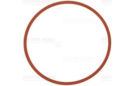 Gasket, intake manifold 71-11403-00 Viktor Reinz